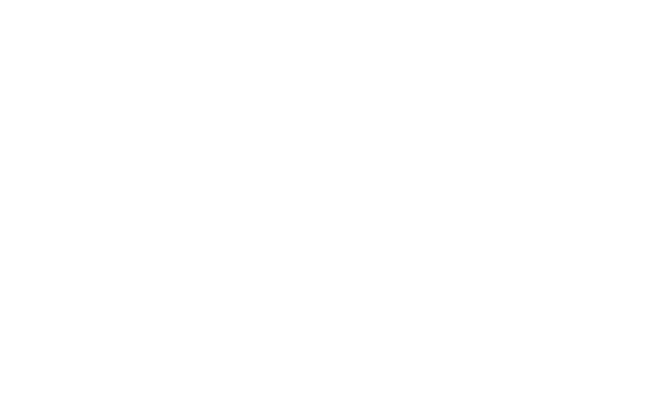 HKN Service